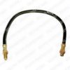 DELPHI LH0198 Brake Hose
